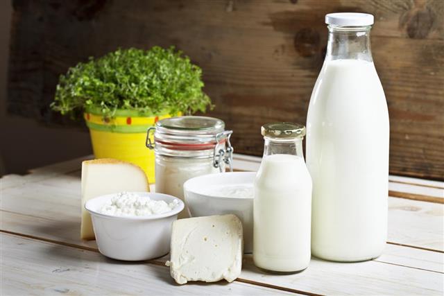 dairy products cheese yogurt milk