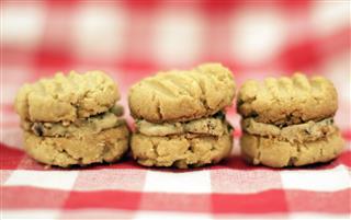 Vanilla Peanut Butter Cookies