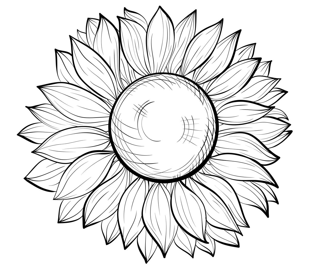 Free Free 320 Sunflower Butterfly Dream Catcher Svg SVG PNG EPS DXF File