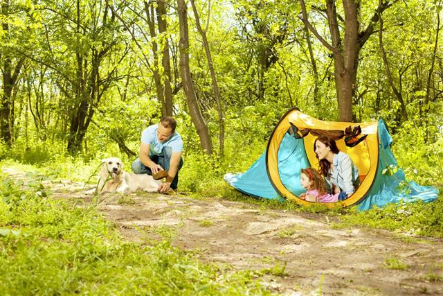 Family With Dog Camping Outdoors