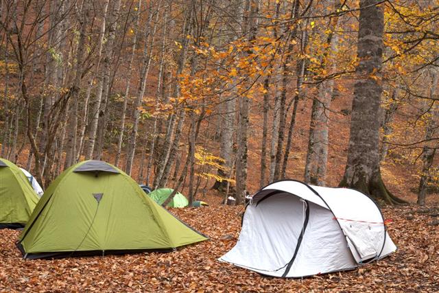 tents while autumn
