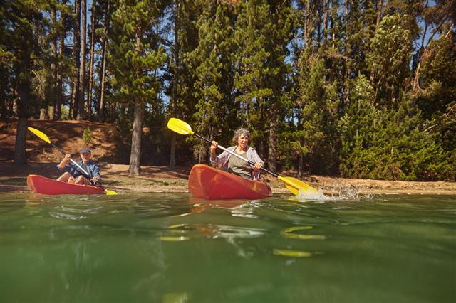 Mature Couple Canoeing On A Lake