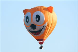 Unidentified Cat Hot Air Balloon