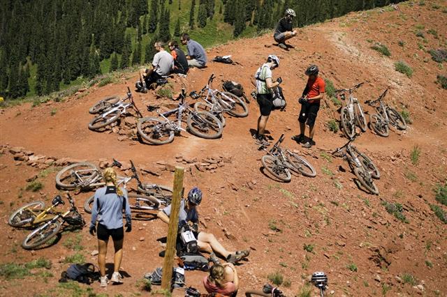 Group Of Mountain Bikers
