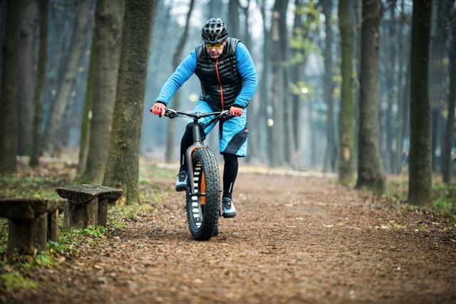 Fat Bike Rider In The Forest
