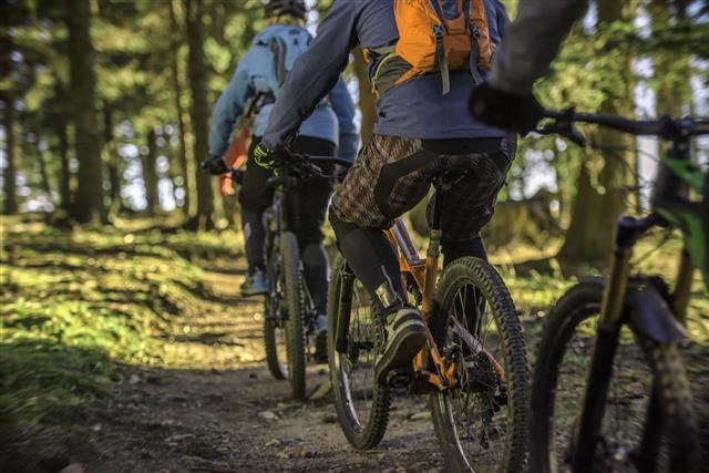 Mountain Bikers Riding Through Forest
