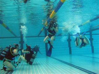 People Scuba Diving In Swimming Pool