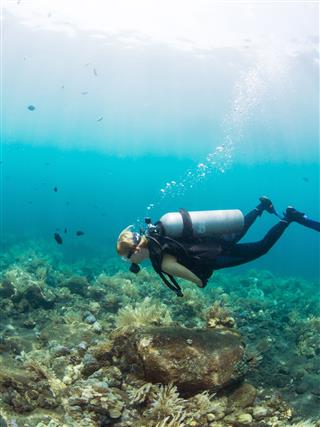 Female Diver Over A Coral Reef