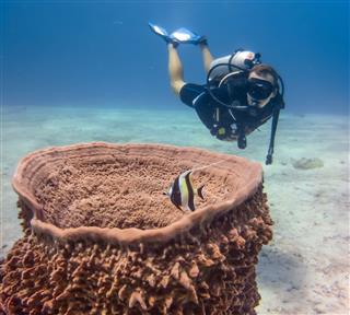 Scuba Diver At Koh Haa Andaman Sea