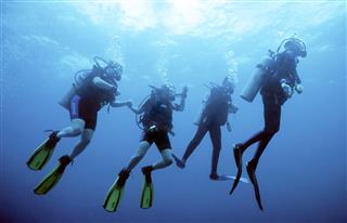 Divers Return