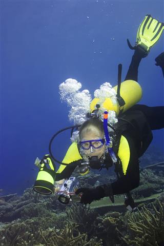 Diver With Camera
