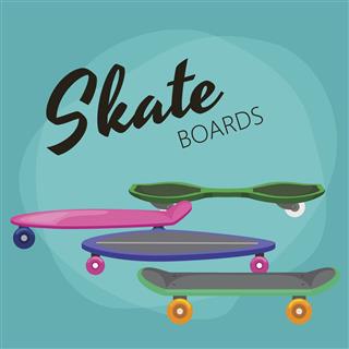 Skateboard With Wheel For Active Lifestyle
