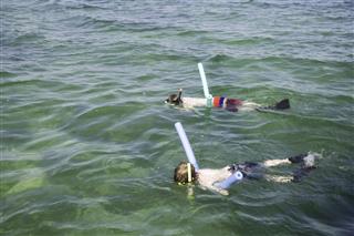 Children Snorkeling Off Key West Florida