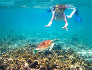 Child Snorkeling In A Tropical Sea