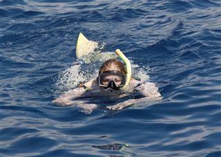 Snorkeler Swimming On The Waters Surface