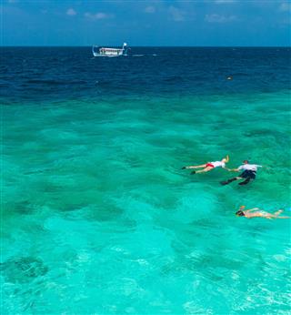 Tourists Involved In Snorkeling