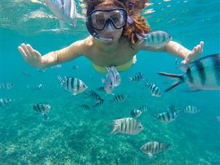 Young Woman Snorkeling With Fishes