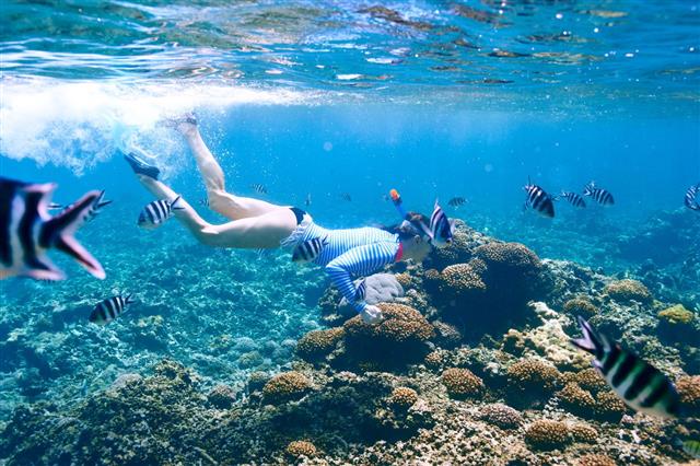 Woman With Mask Snorkeling