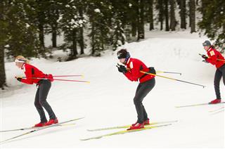 Cross Country Skiing At Downhill