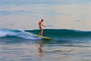 Surfer Girl Longboards A Small Wave