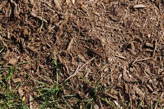 Grass And Mulch