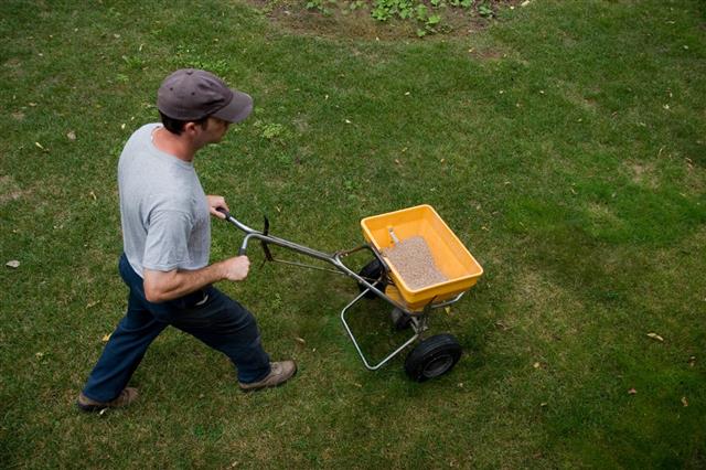 Landscaper Fertilizes Lawn