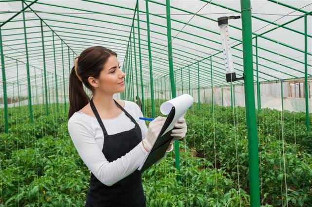 Young Woman In Greenhouse