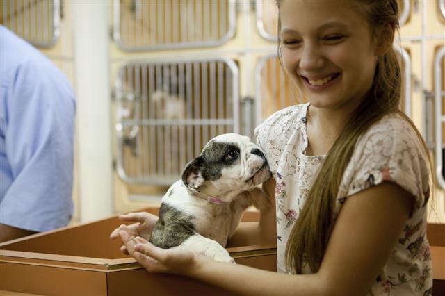 At Animal Adoption Center