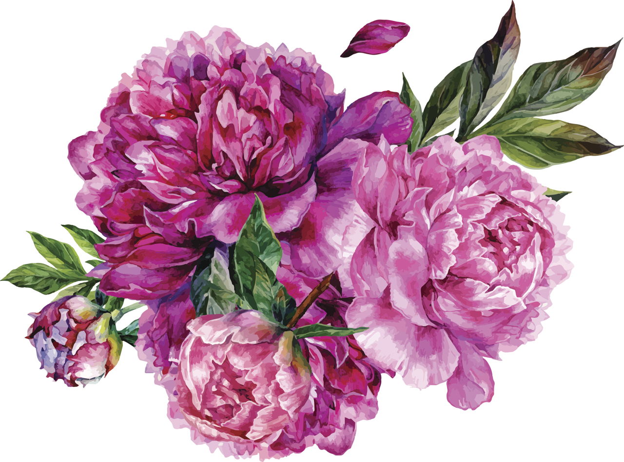 Learn How to Draw Flowers With These Step-by-step Instructions