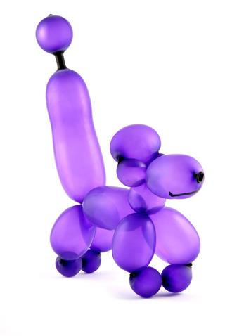 Balloon Dog Art