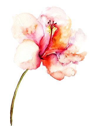Watercolor Pink Flower Painting