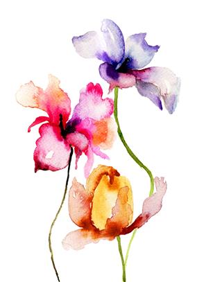 Watercolor Illustration Of Summer Flowers