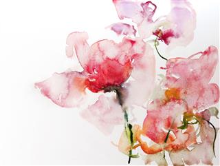 Watercolor Flowers On Paper