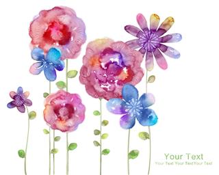 Watercolor Illustration Flowers