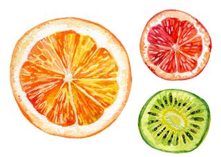Fruits Watercolor Painting