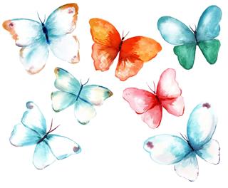 Collection Of Watercolor Butterflies