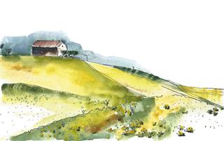 Watercolor Painting Of Rural Landscape