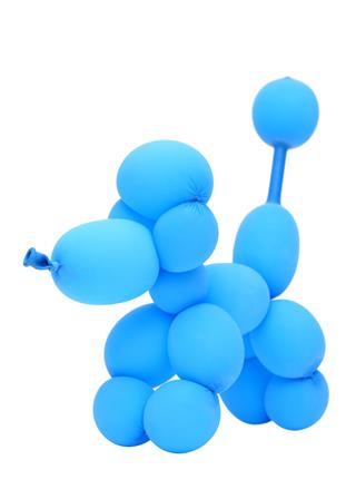 Dog Created With Balloon