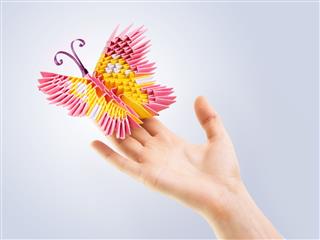 Pink Butterfly In A Hand