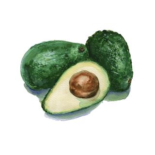 Three Avocados Isolated Watercolor