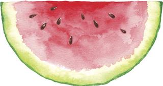 Watermelon Slice Painting