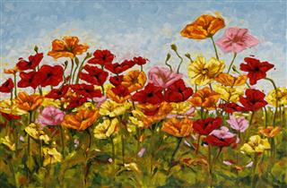 Field Of Colorful Poppies Oil Painting