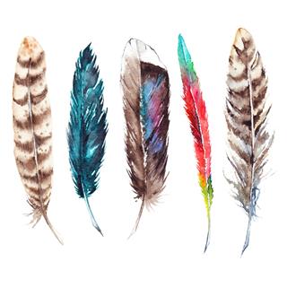 Watercolor Colorful Exotic Bird Feather Set