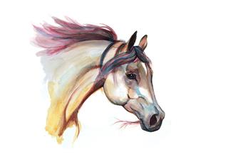 Watercolor Horse Head