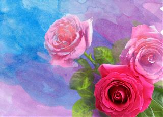 Rose Watercolor Background