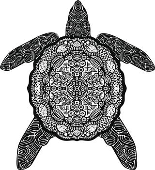 Psychedelic Turtle