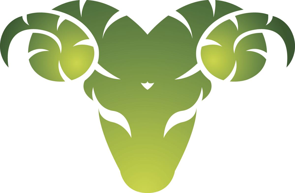 Leo and Aries Compatibility: How Good is Their Match? - Astrology Bay