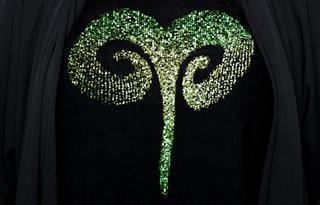 Sequin Aries embroidery