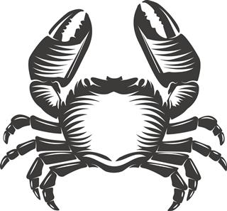 Crab astrology sign