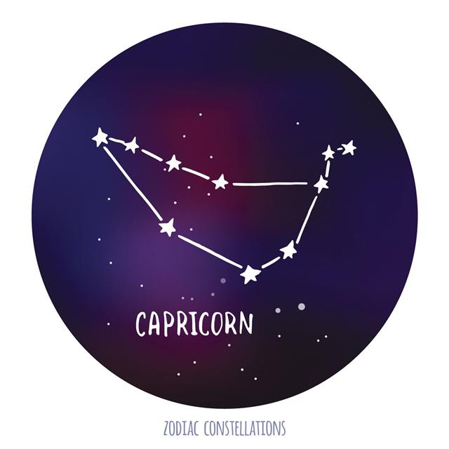 Capricorn Sign Zodiacal Constellation